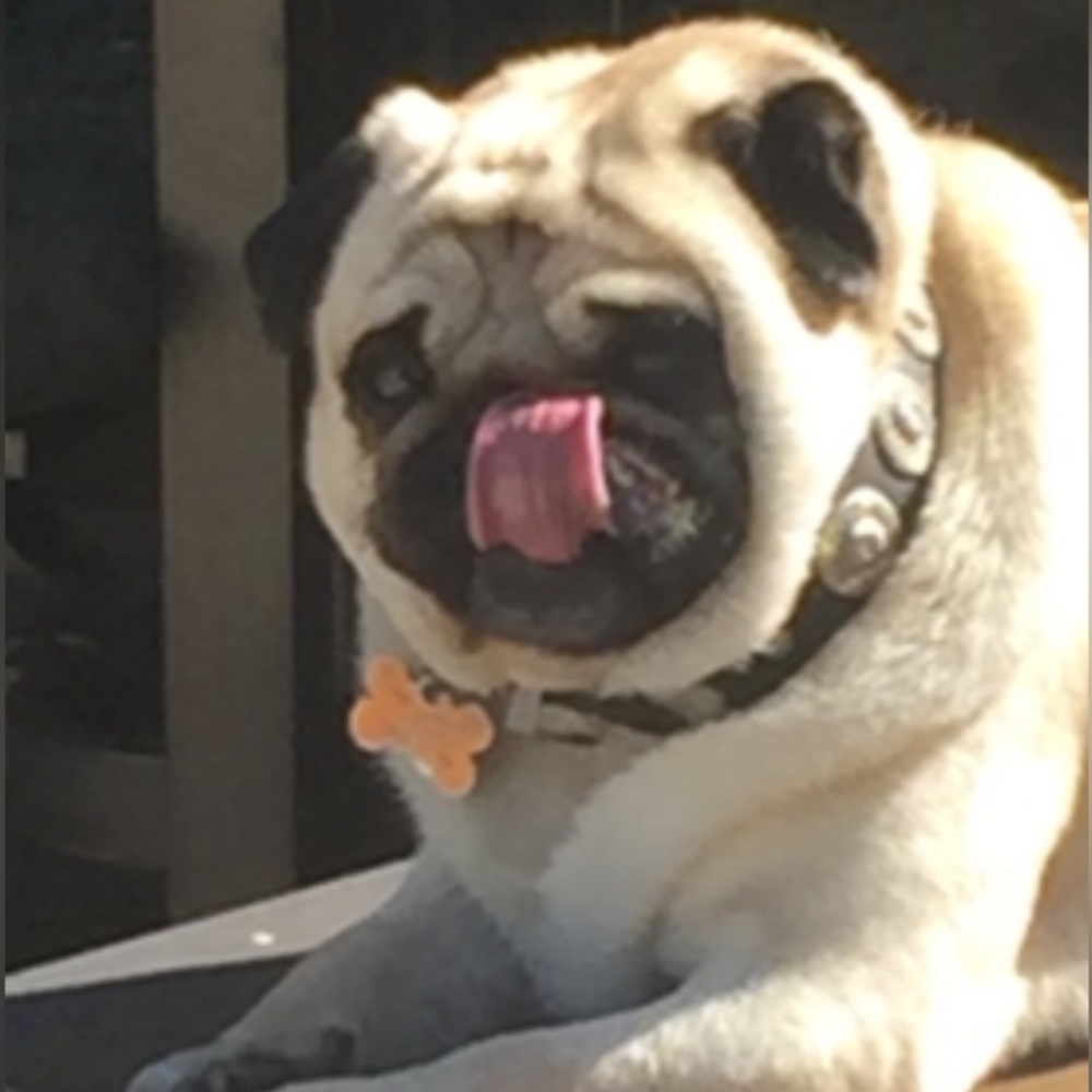 Meet your Posher, Jeff